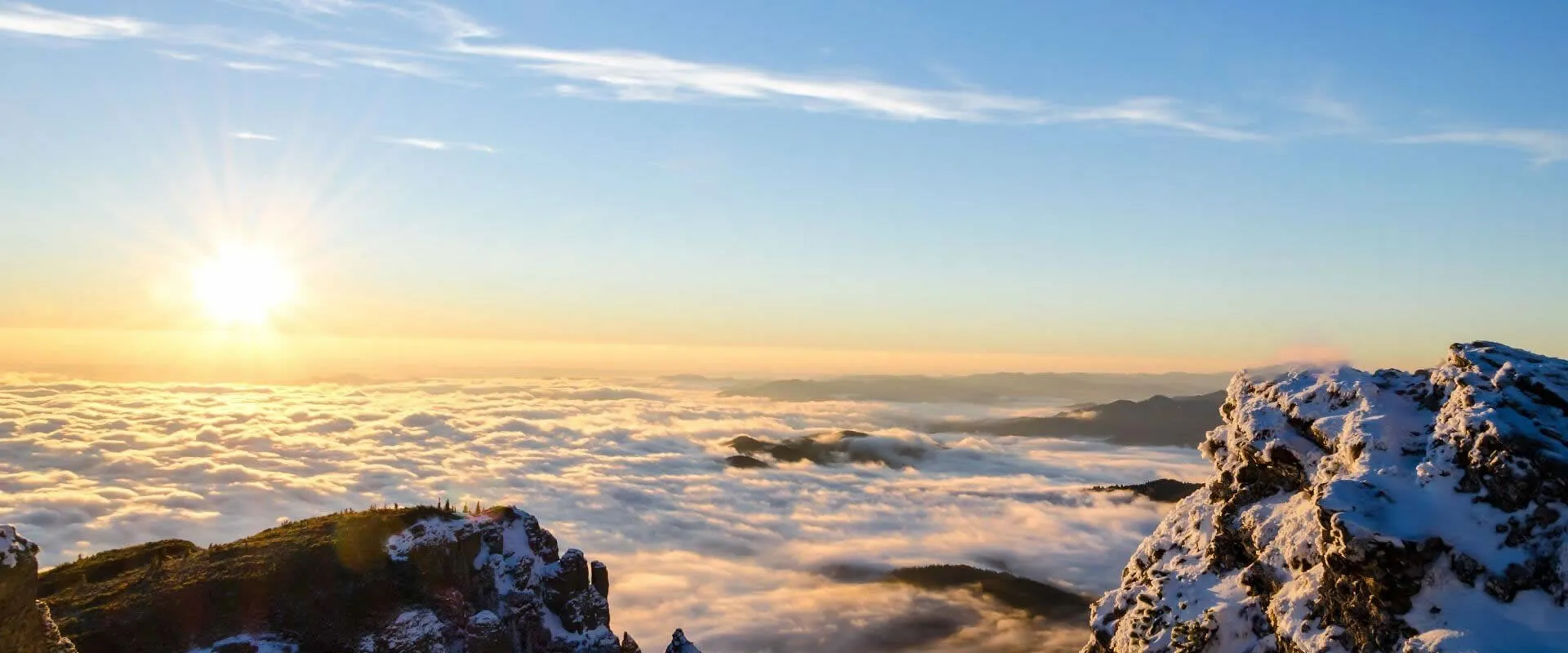 Our offerings range from the highest quality products to exceptional services, all under one roof.